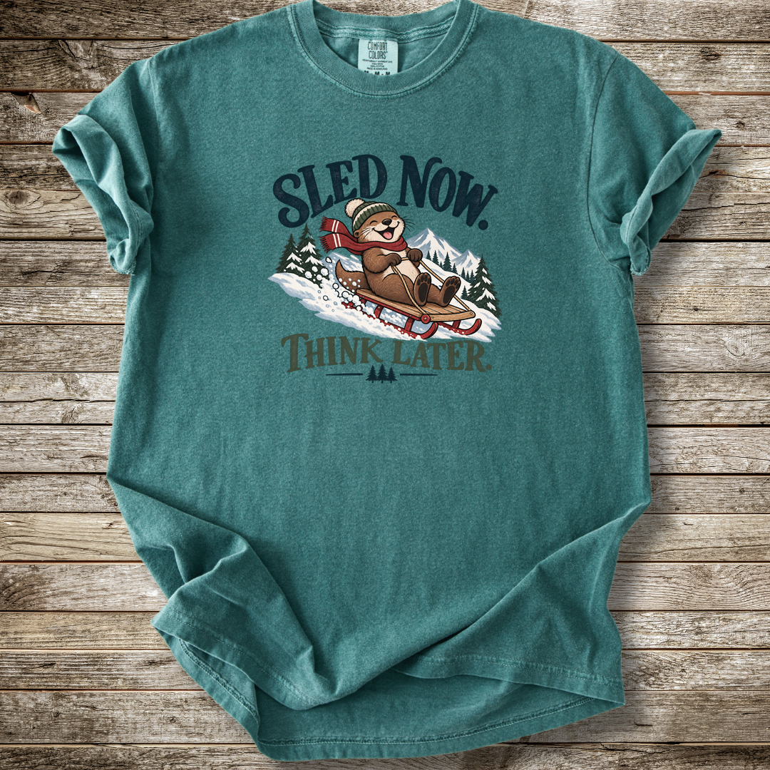 Sled Now Think Later T-shirt