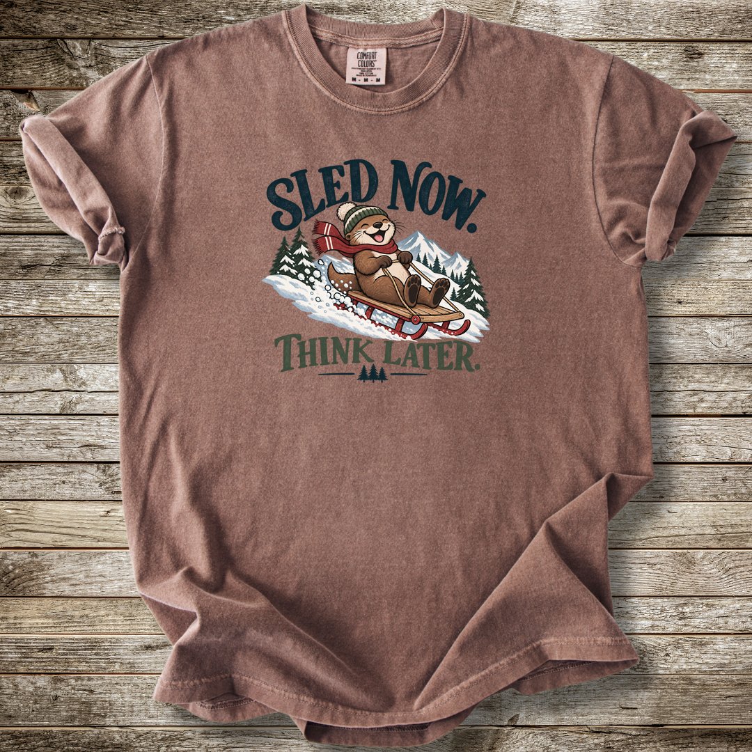 Sled Now Think Later T-shirt